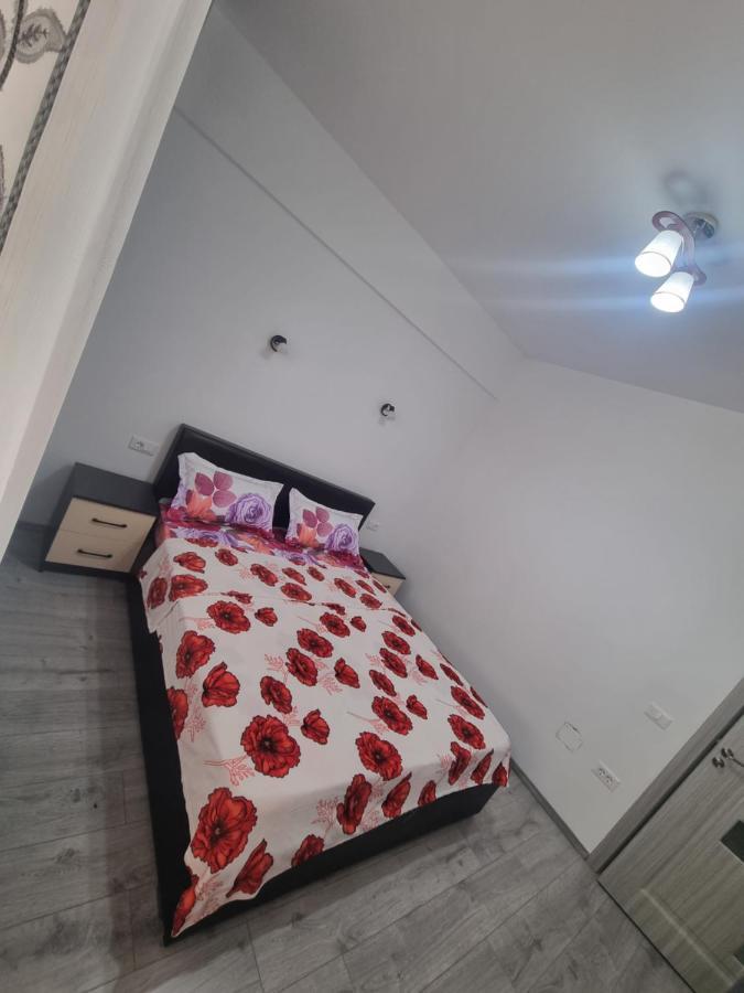 Apartament Mihaela Ramnicu Valcea Bagian luar foto